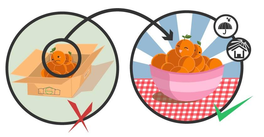 Fehler 404 - Seite nicht gefunden