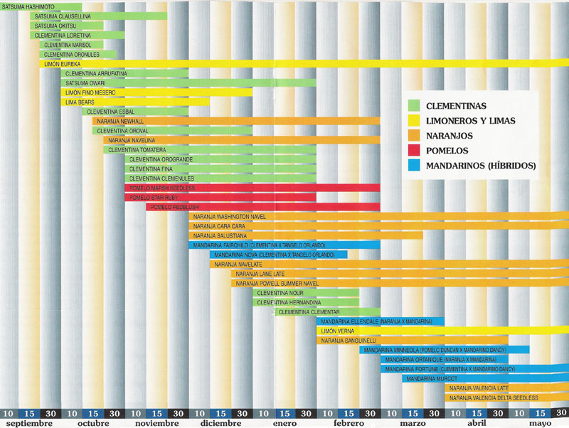 Saisonkalender