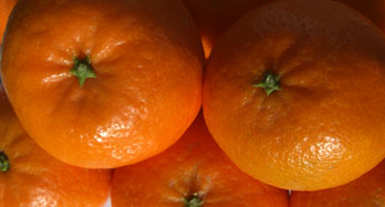 Mandarinen Hernandina 15 Kg