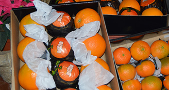 45 Orangen and 28 Mandarinen Gourmet