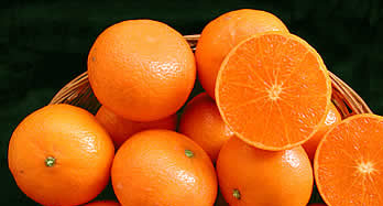 Mandarinen Murcott 12 Kg