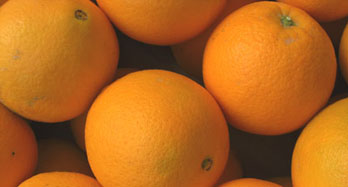 Orangen Navelina 15 Kg