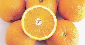 Orangen Valencia 15Kg